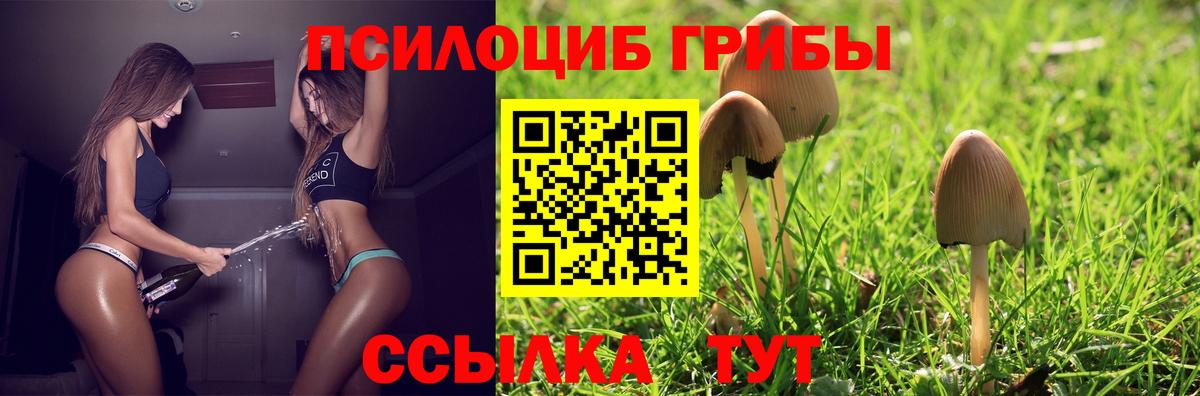 наркошоп  Вход с VPN  Галлюциногенные грибы мухоморы  Шебекино  Псилоцибиновые грибы мицелий 