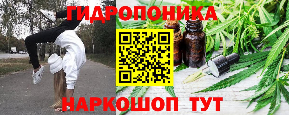Шишки марихуана план Шебекино